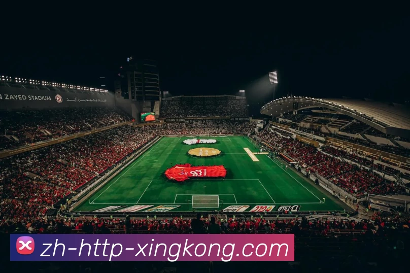 星空体育平台生态图